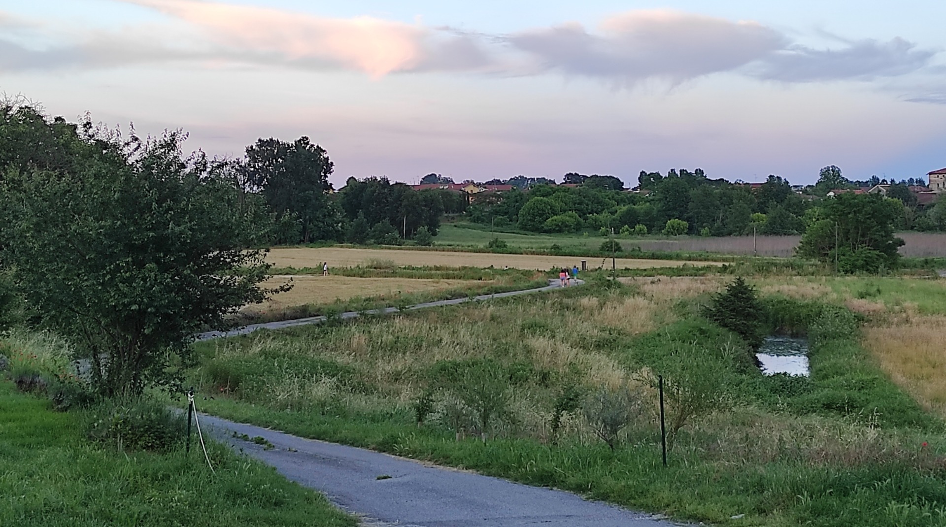 Azienda Agricola Terra di Ilizia 